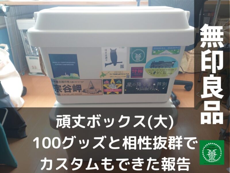 【無印良品】頑丈収納ボックスがダイソー・セリア商品とシンデレラフィット！新型との違いも紹介