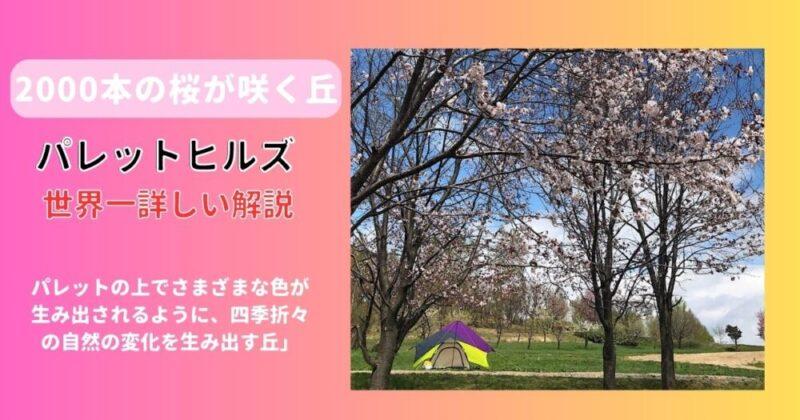 パレットヒルズキャンプ場   桜並木や大雪山連峰が一望