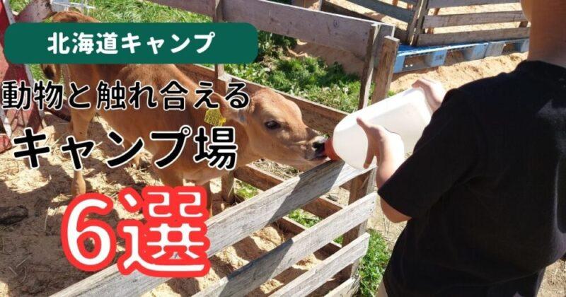 動物と触れ合える北海道のキャンプ場